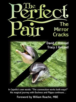 cover image of The Perfect Pair
